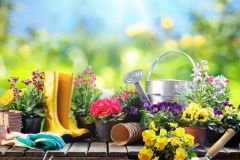 gardening-equipment-for-gardener-with-flowerpots-royalty-free-image-643182988-1555499917